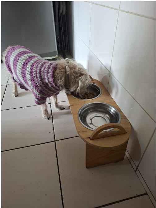 Customer photo review of PetFamily Foods