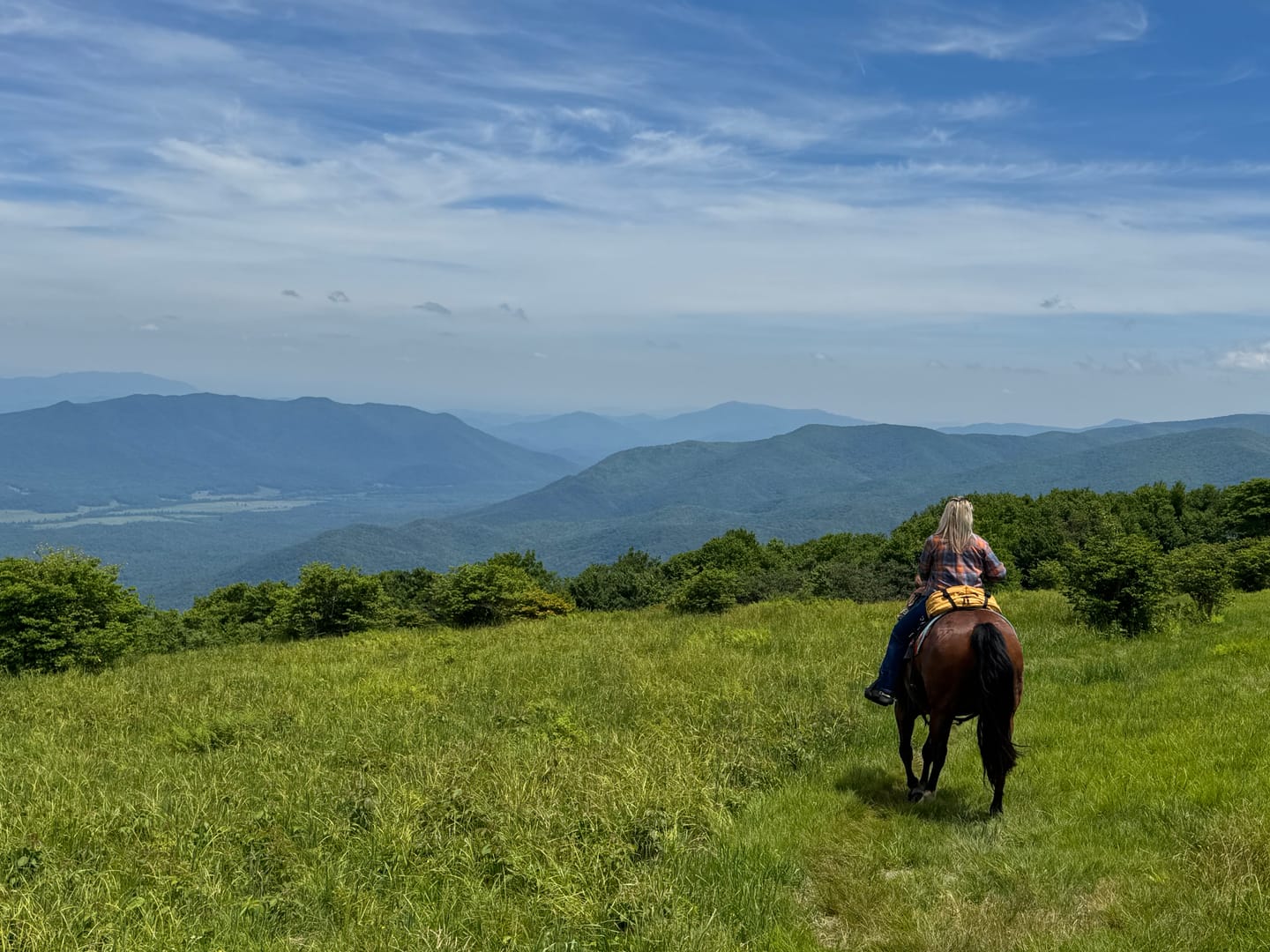 Customer photo review of THE BRUMBY