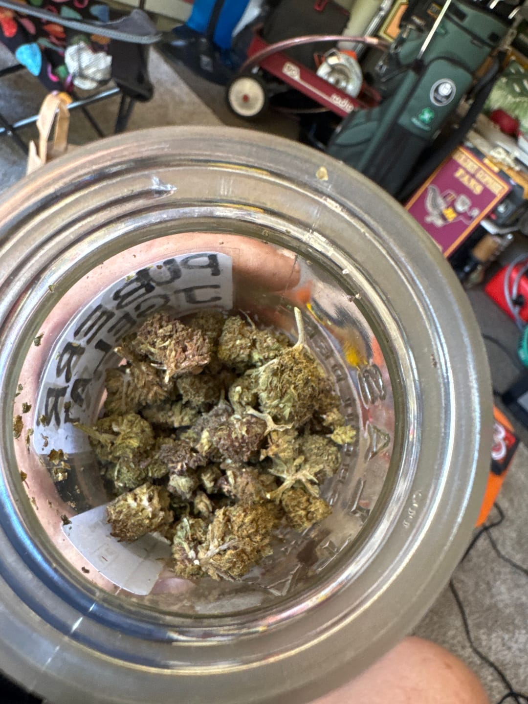 Customer photo review of Purple Jack - 28 Grams Littles - Hybrid