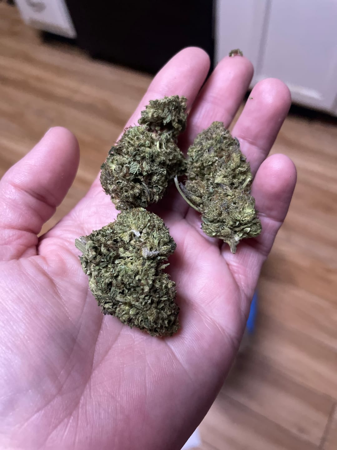 Customer photo review of Fruity Pebbles OG - 28 Grams - Indica
