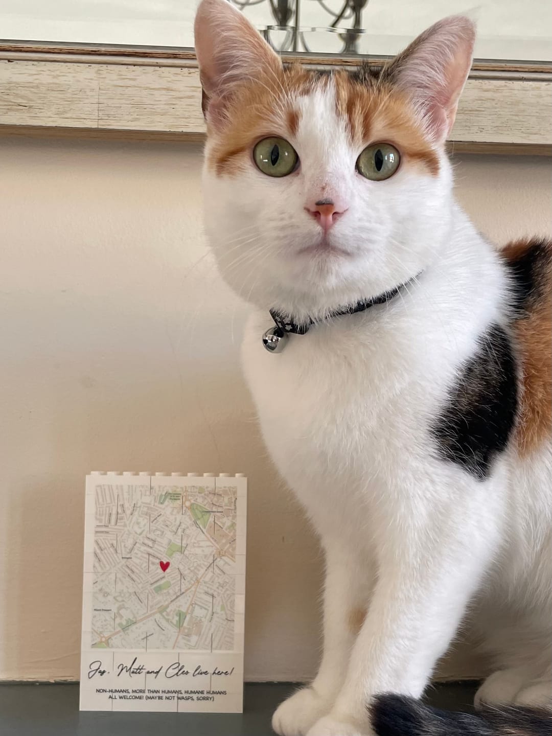Customer photo review of Personalised Location LEGO® Brick Map Print: Anniversary & New Home Gift