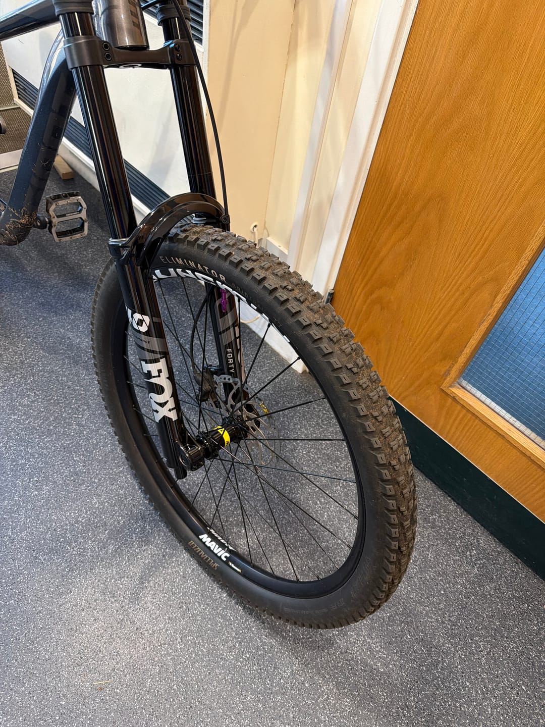 Customer photo review of Mavic E-Deemax DH 30 29" 20 x 110mm Front Wheel