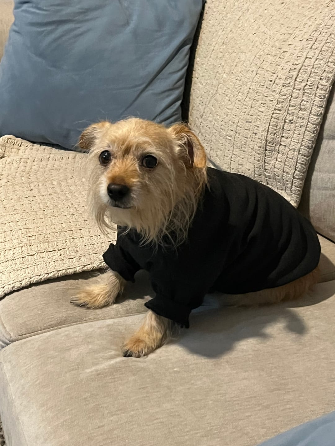 Customer photo review of Polera Térmica Power Stretch™