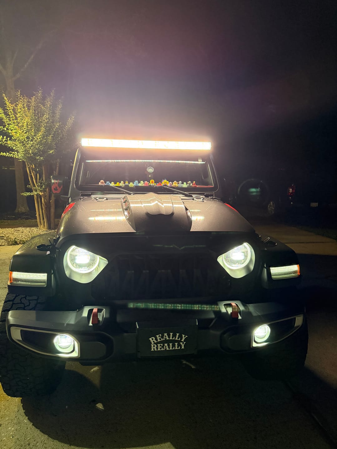 Customer photo review of Custom InsertZ | Dual Row 52"