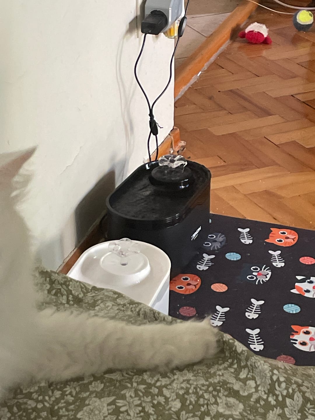 Customer photo review of Kedi Su Pınarı | Ultra Sessiz, Wifi, Akıllı, Otomatik, Su Çeşmesi (Siyah- X8650)