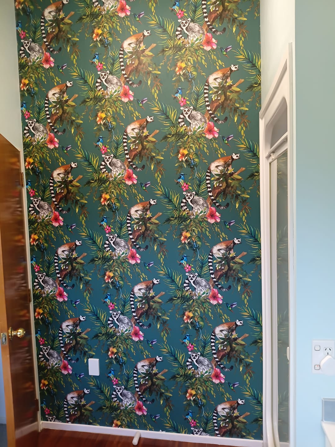 Customer photo review of Lemur Wallpaper - Teal