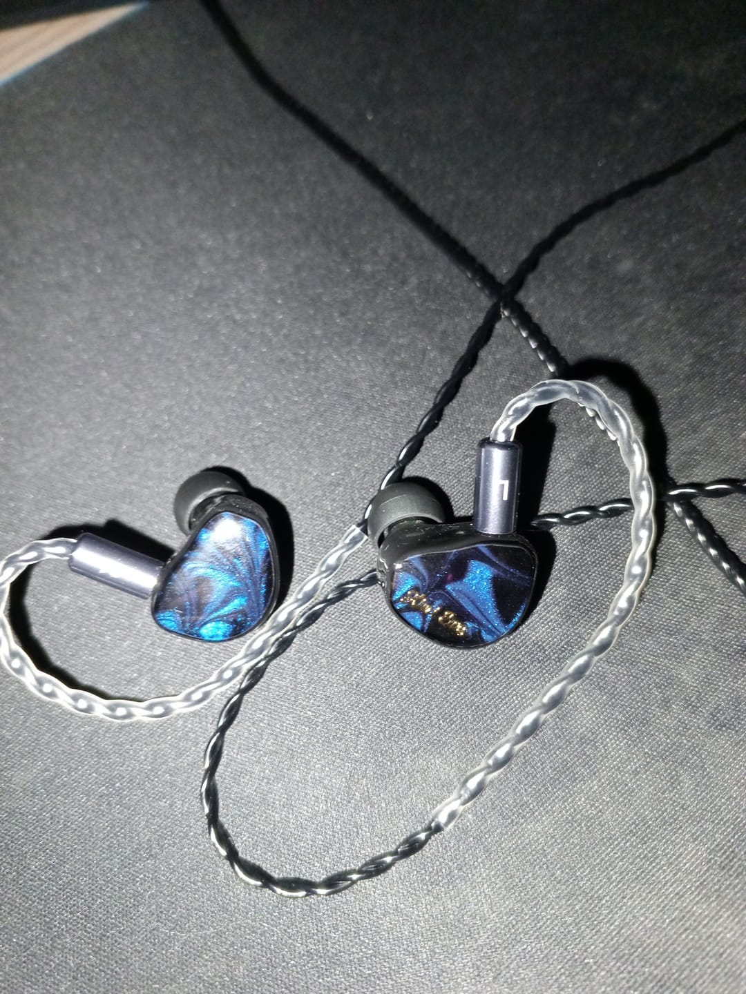 Customer photo review of Kiwi Ears Cadenza IEM Kulaklık