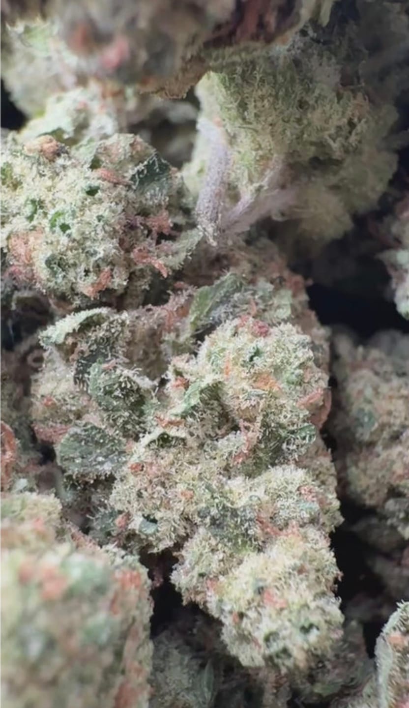 Customer photo review of Godfather OG - 28 Grams - Indica