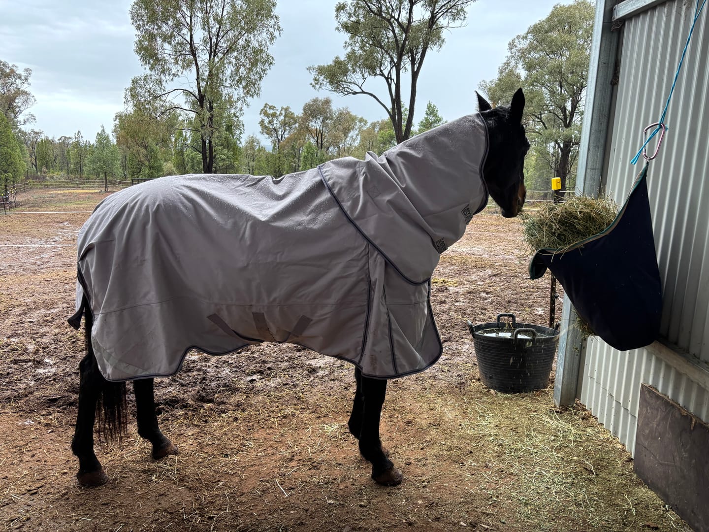 Customer photo review of LE Boxter Turnout 0g