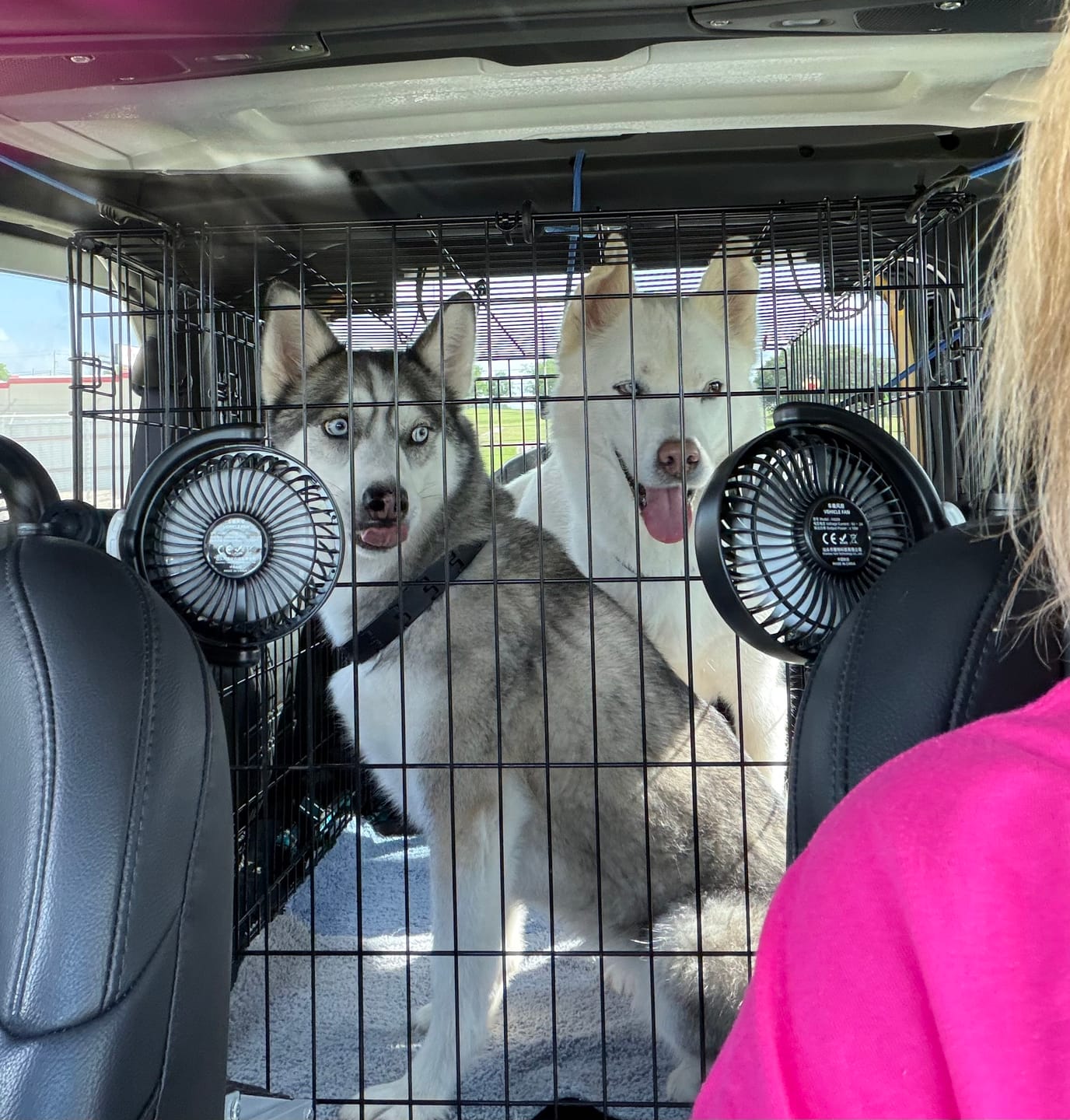 Customer photo review of NEW Adjustable Backseat Dual Cooling Fans (Compatible with USB-A plug Only)