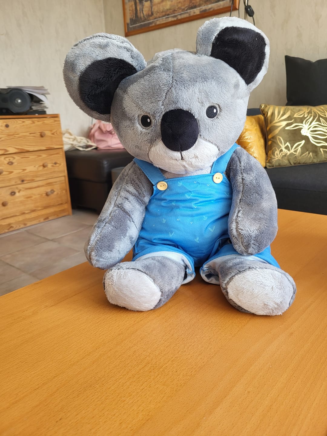 Customer photo review of Lotgenootje Koala 2kg