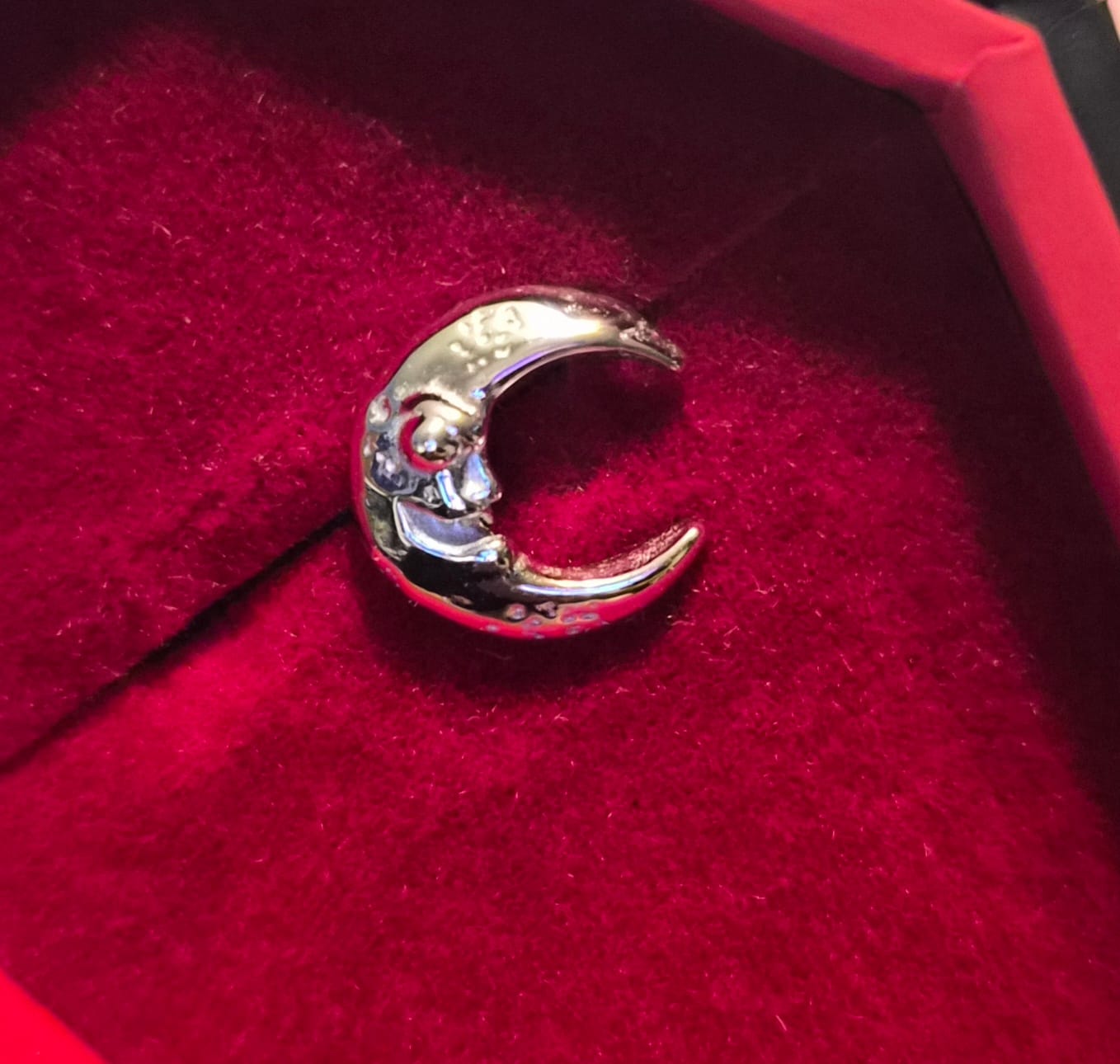 Customer photo review of LUNA THE LUNATIC LUNAR EARRING