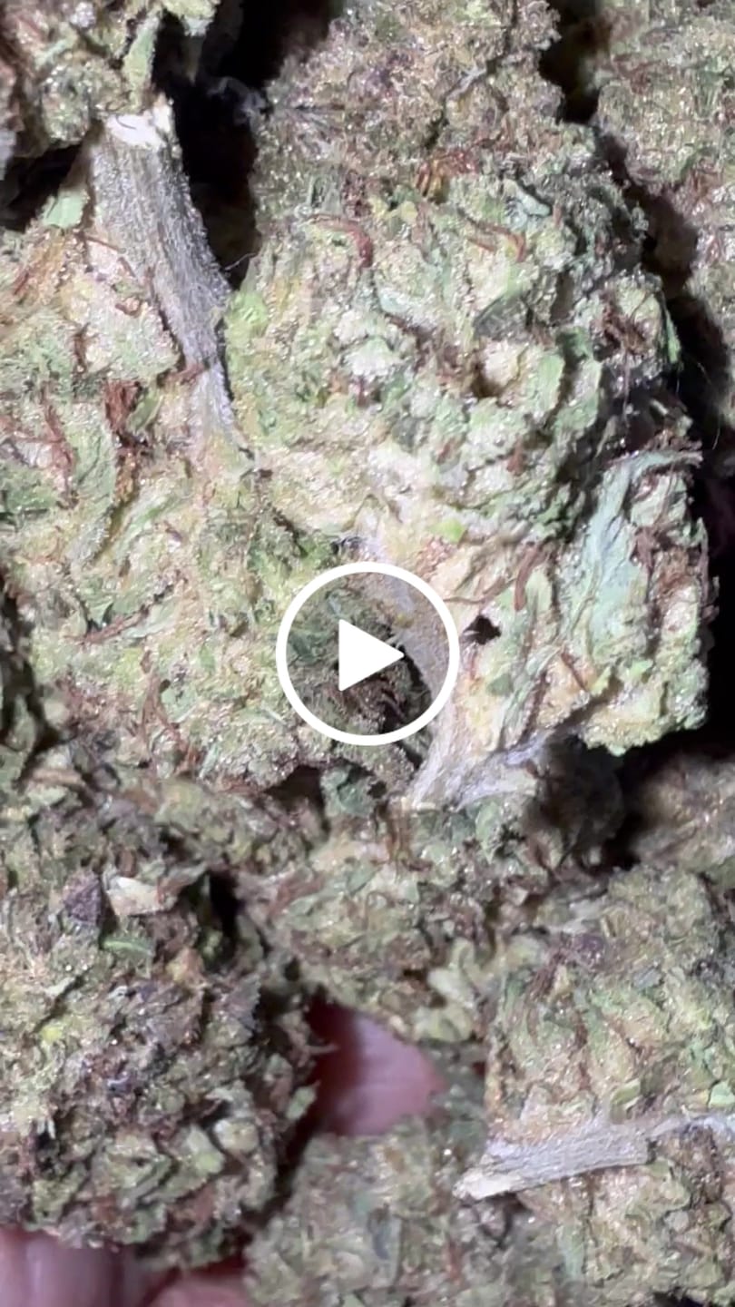Customer video review of Gorilla Glue - 14 Grams - Hybrid