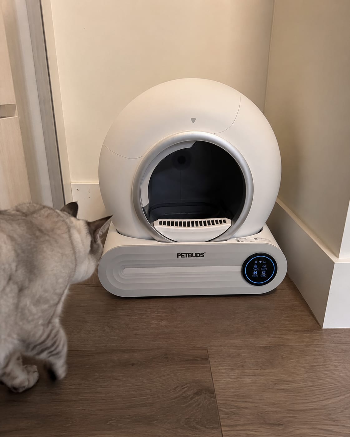 Customer photo review of Petbuds™ Pro 2026 Automatic Self-Cleaning Litter Box