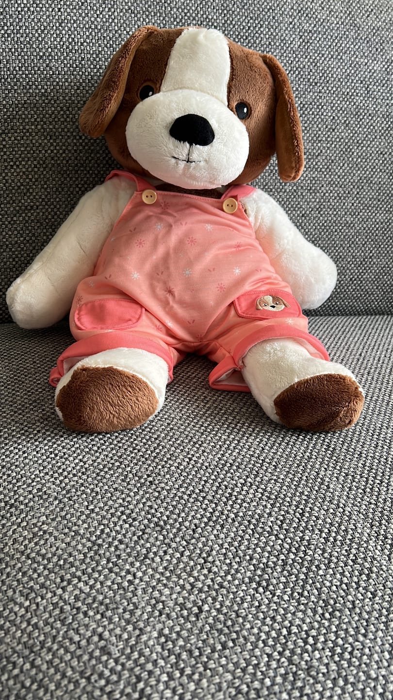 Customer photo review of Hond Kleding Lente Lotgenootje