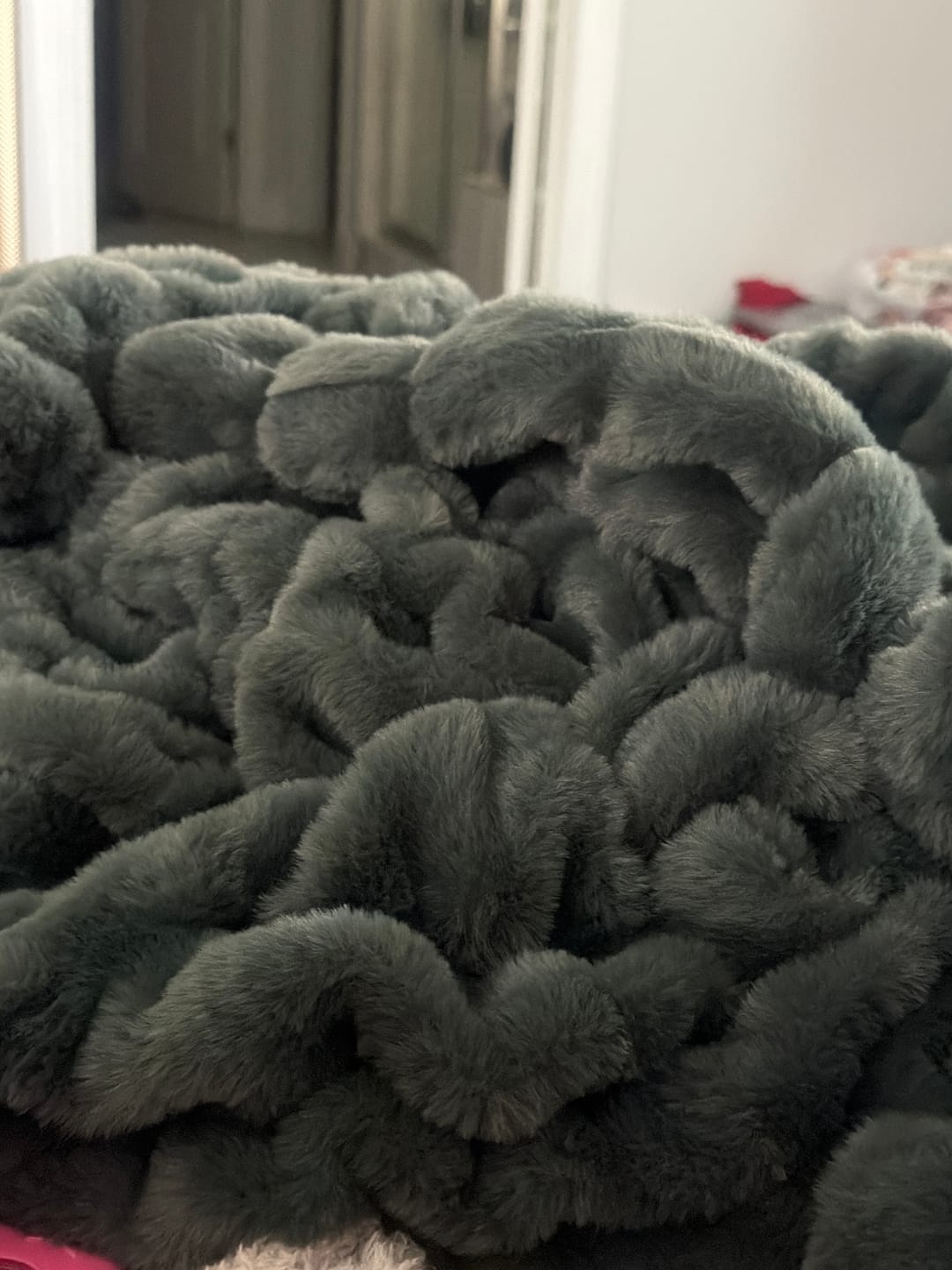 Customer photo review of Deep Forest Green Minky Blanket