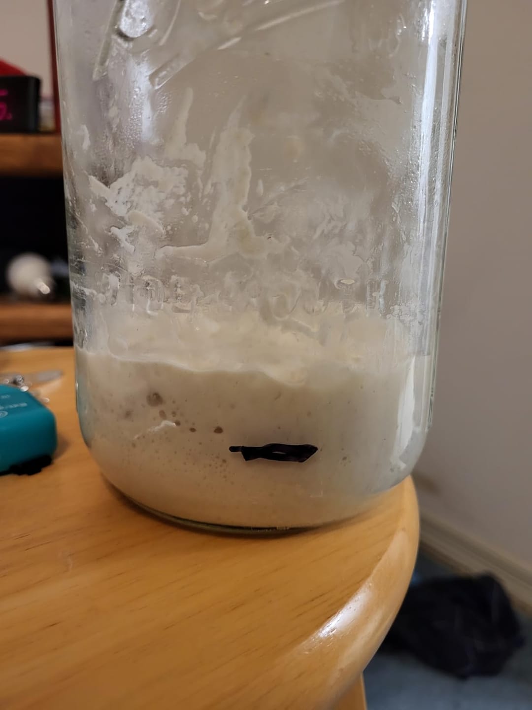 Customer photo review of Living Jin Foods: Sourdough Starter