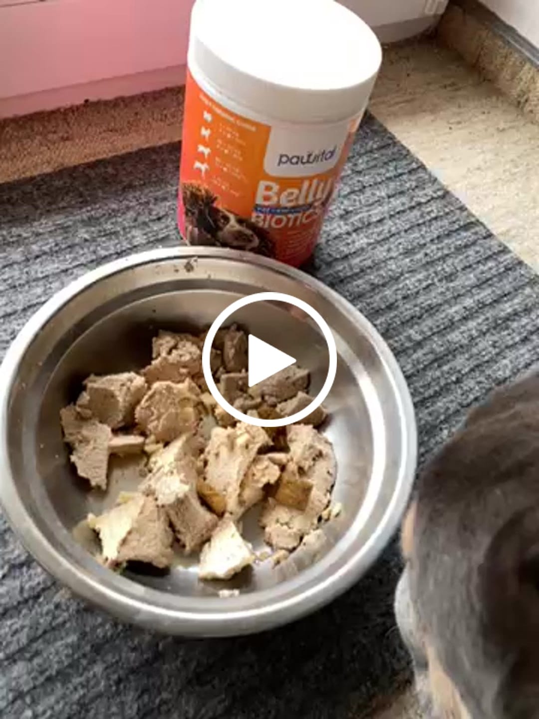 Customer video review of Belly Biotics (360 treats)