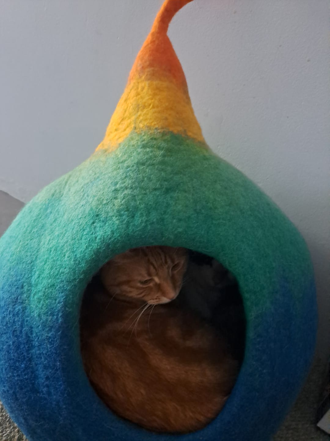 Customer photo review of Cat Cave - Rainbow Teardrop