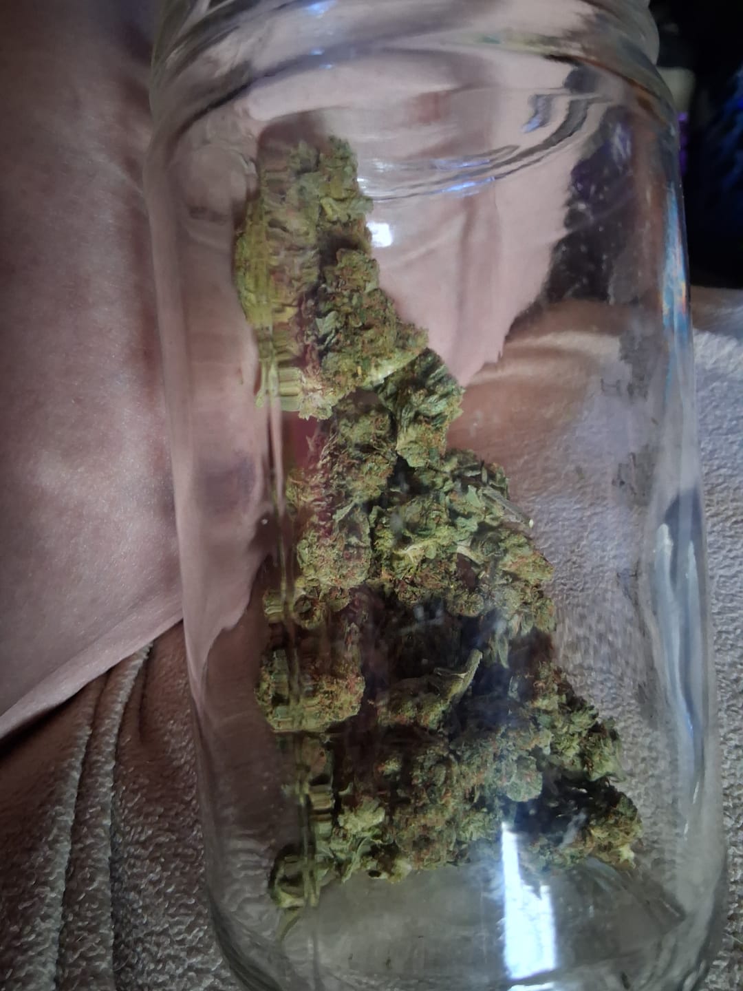 Customer photo review of Laughing Gas - Bulk - Hybrid