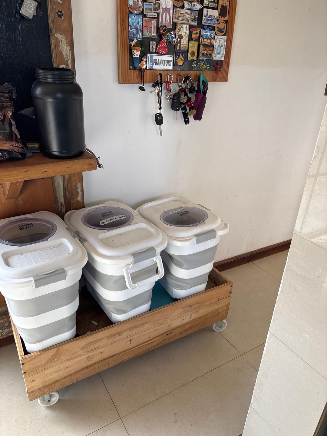 Customer photo review of Contenedor Hermético THE DOGS — Alimento fresco y sin olores