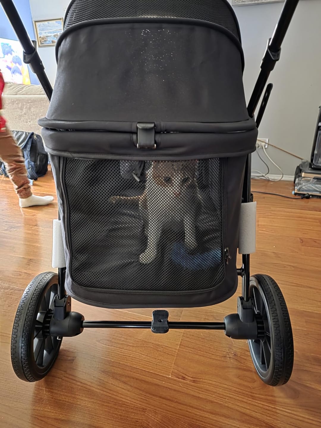 Customer photo review of Fur King Wagon - 30 kg Pet Pram