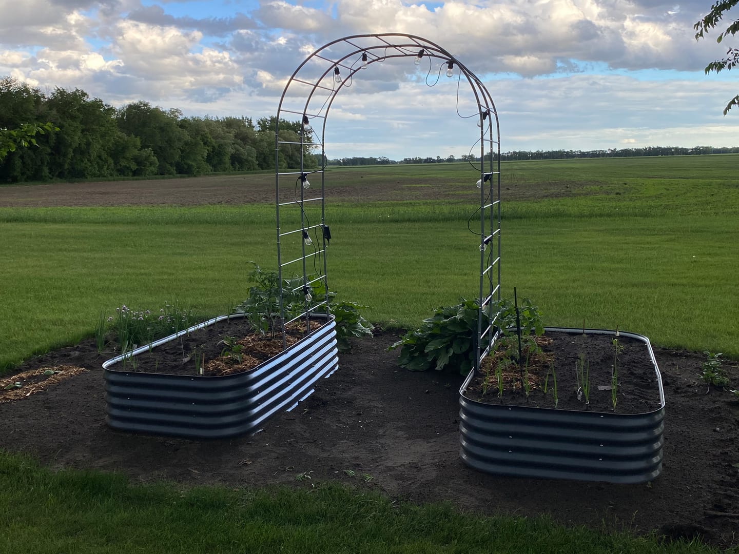 Customer photo review of Arch Garden Trellis
