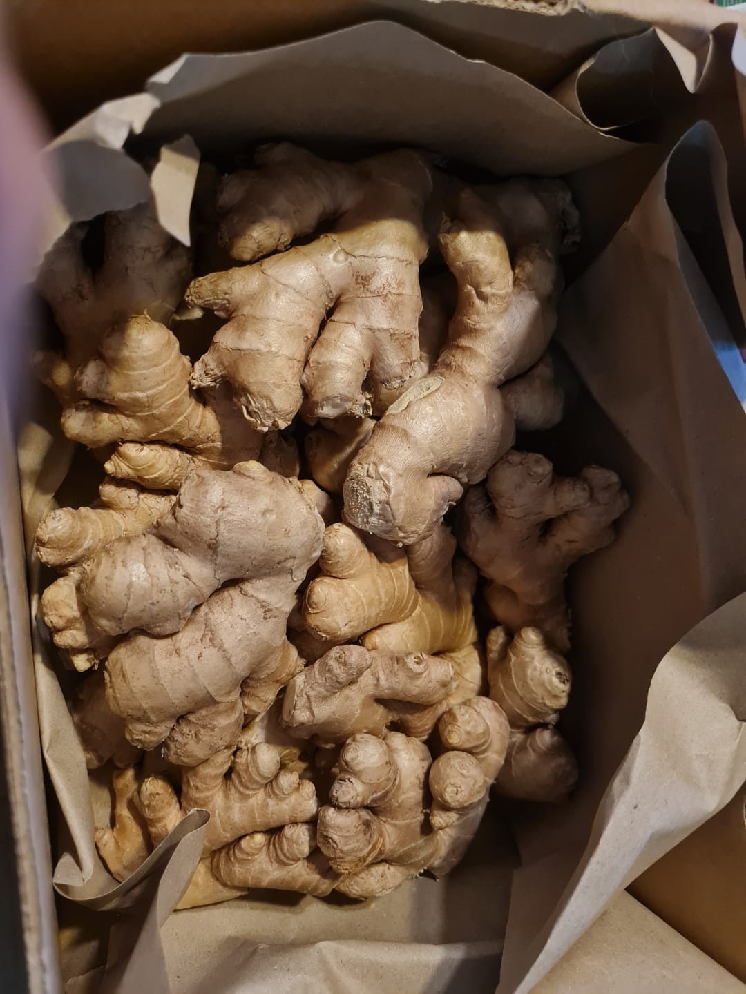 Customer photo review of Ingwer Bio aus Peru mit Schale verwertbar!