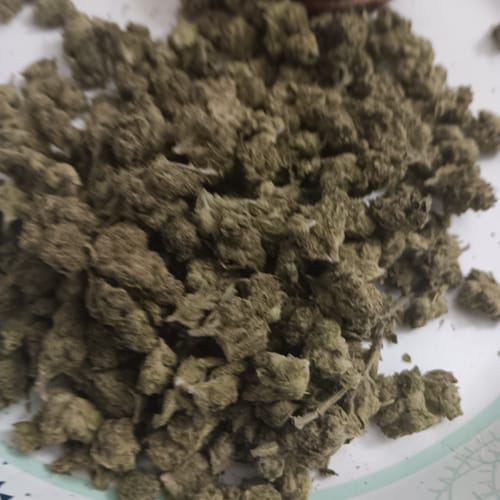 Raspberry Kush MICROS - 28 Grams - Indica photo review