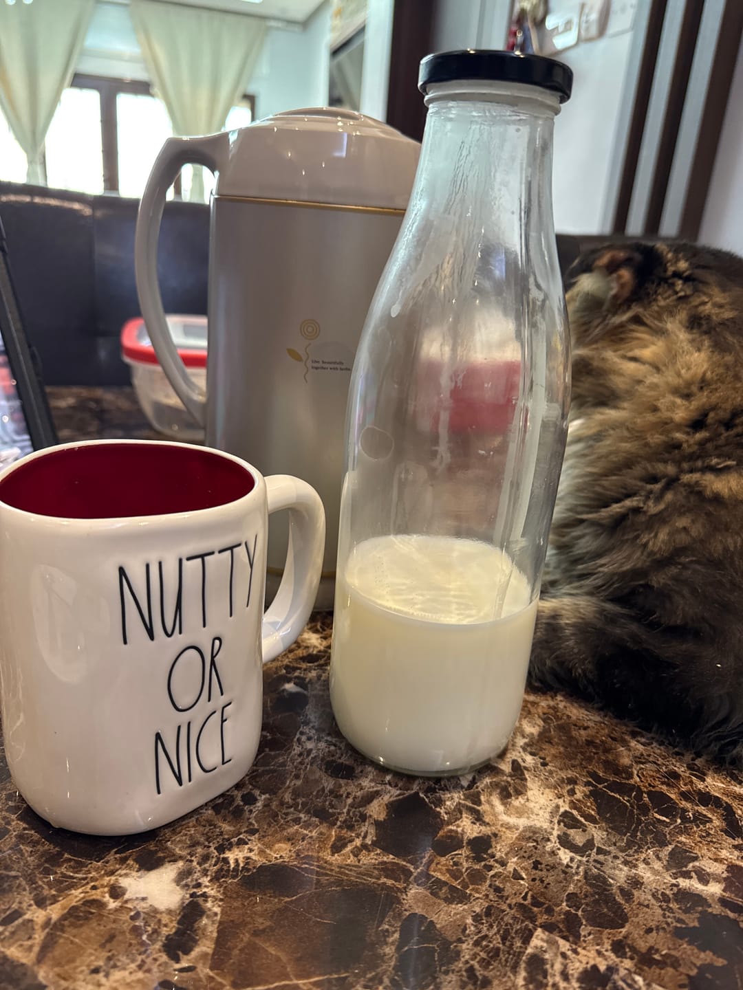 Customer photo review of Greek Yogurt 500g & 2L Milk