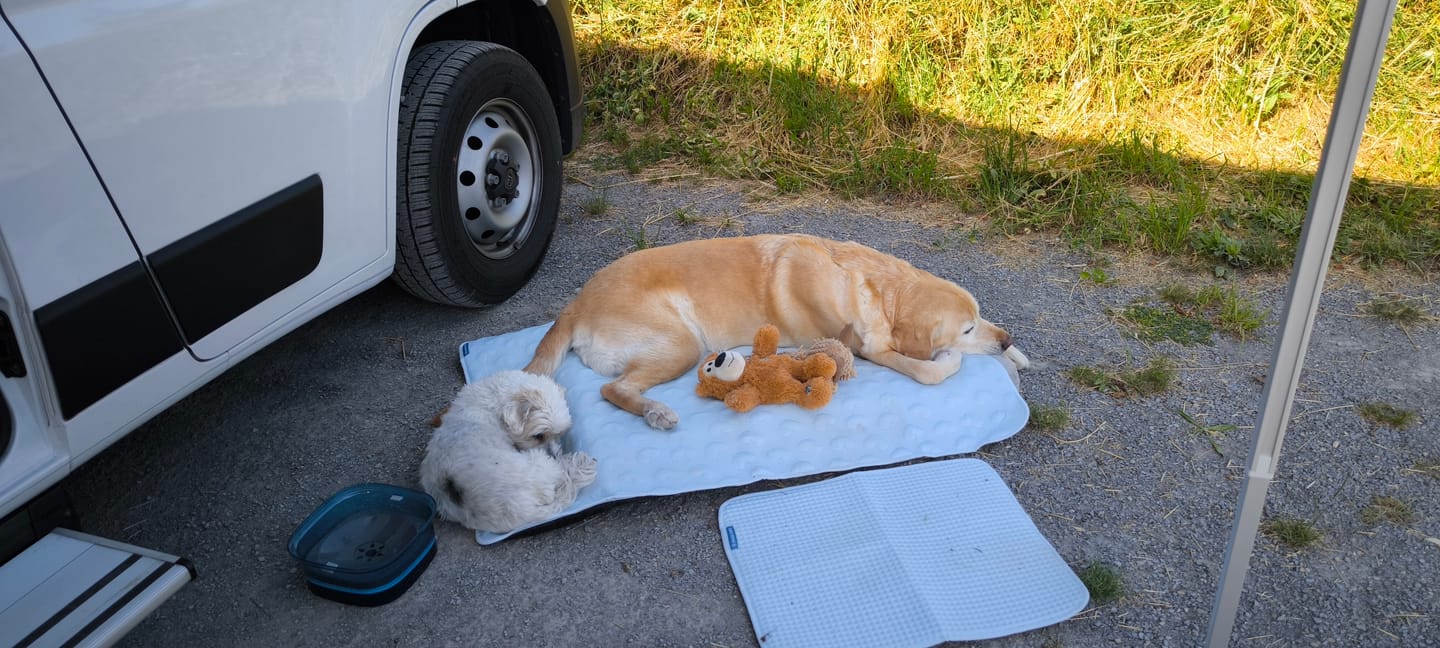 Customer photo review of Frostcore™ Cooling Mat