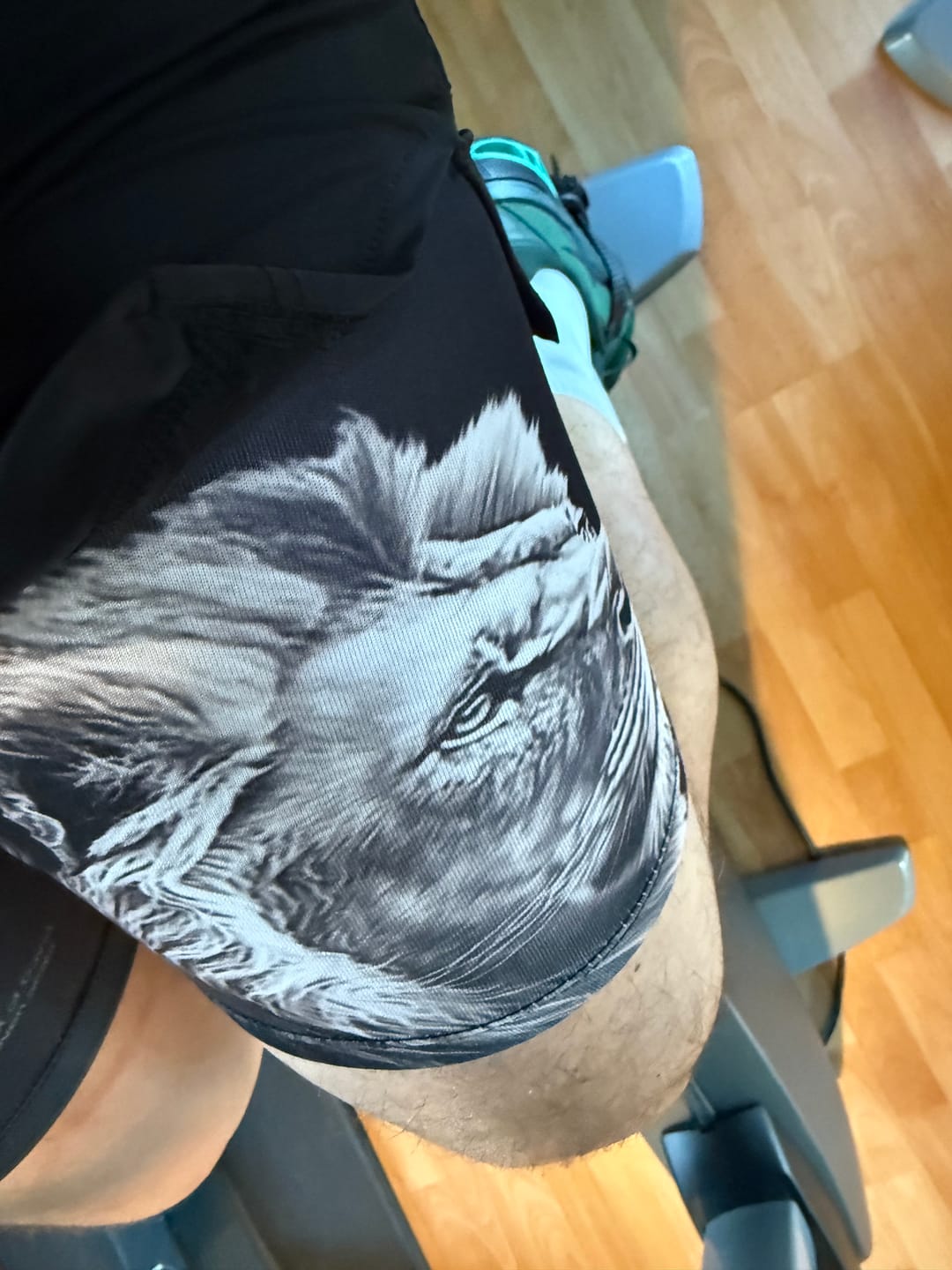 Customer photo review of Revelation 5:5 Lion Performance Shorts