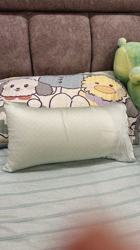 Customer photo review of Getha First Class Travel Latex Pillow