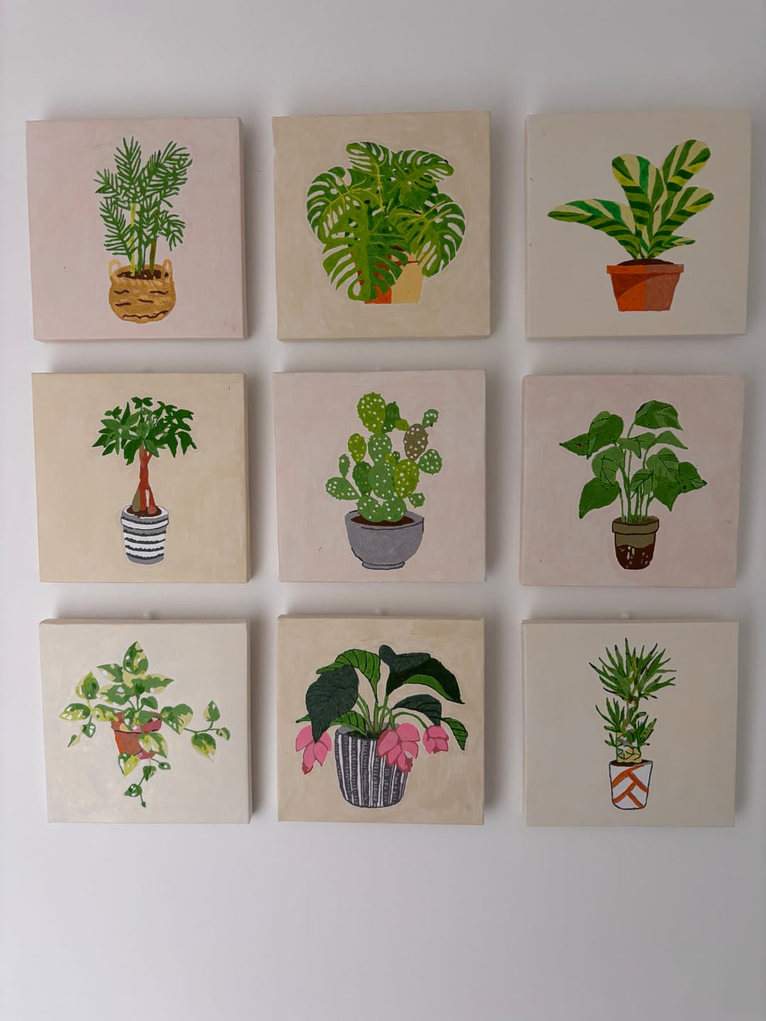 Customer photo review of 9 Mini Paintings – Indoor Plants Set | Paint by Numbers