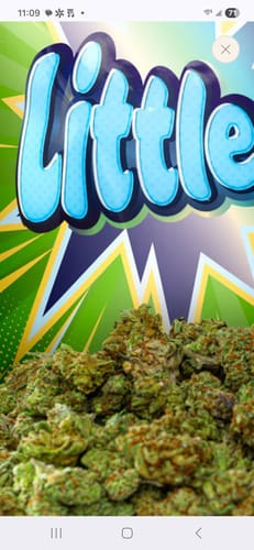 LITTLES BRAND - Citrus Skunk Littles - 28 Grams - Sativa photo review