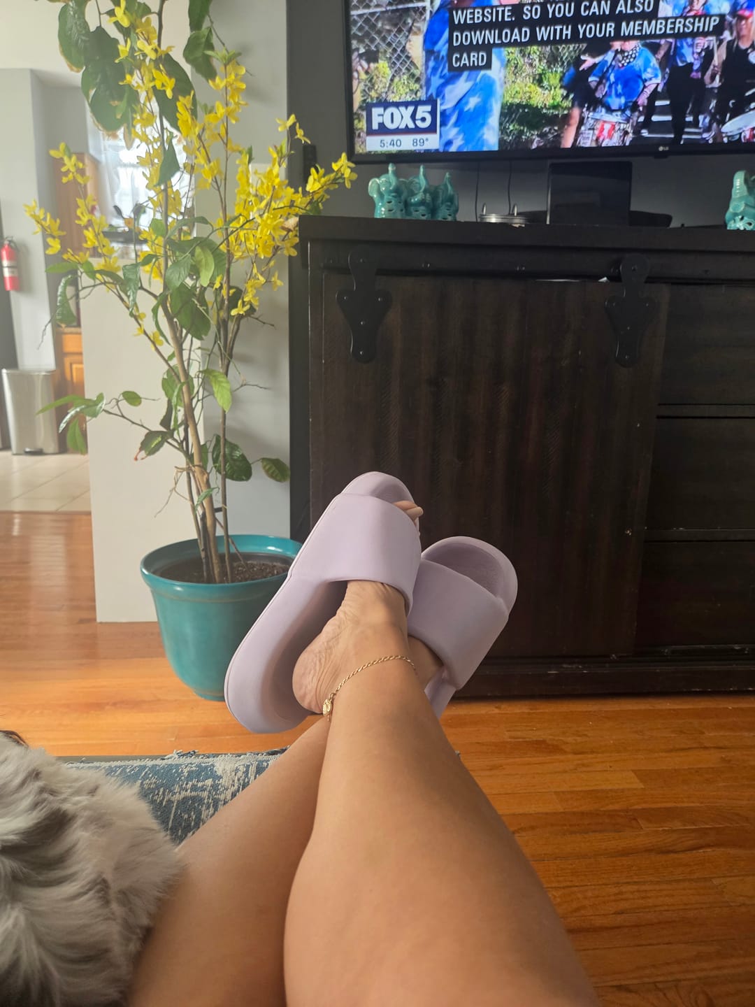 Customer photo review of MellowSoft Slides