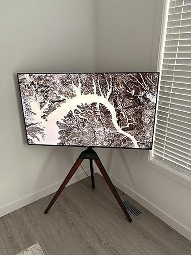 Customer photo review of Picasso FT65 Floor TV Stand