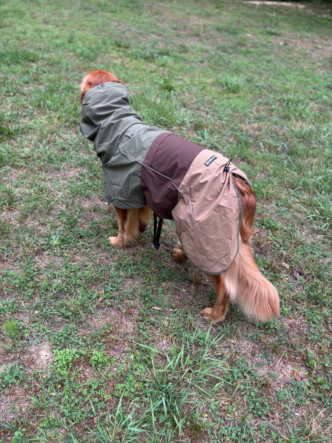 Customer photo review of Breatheshield™ Dog Raincoat - Green Brown Tan