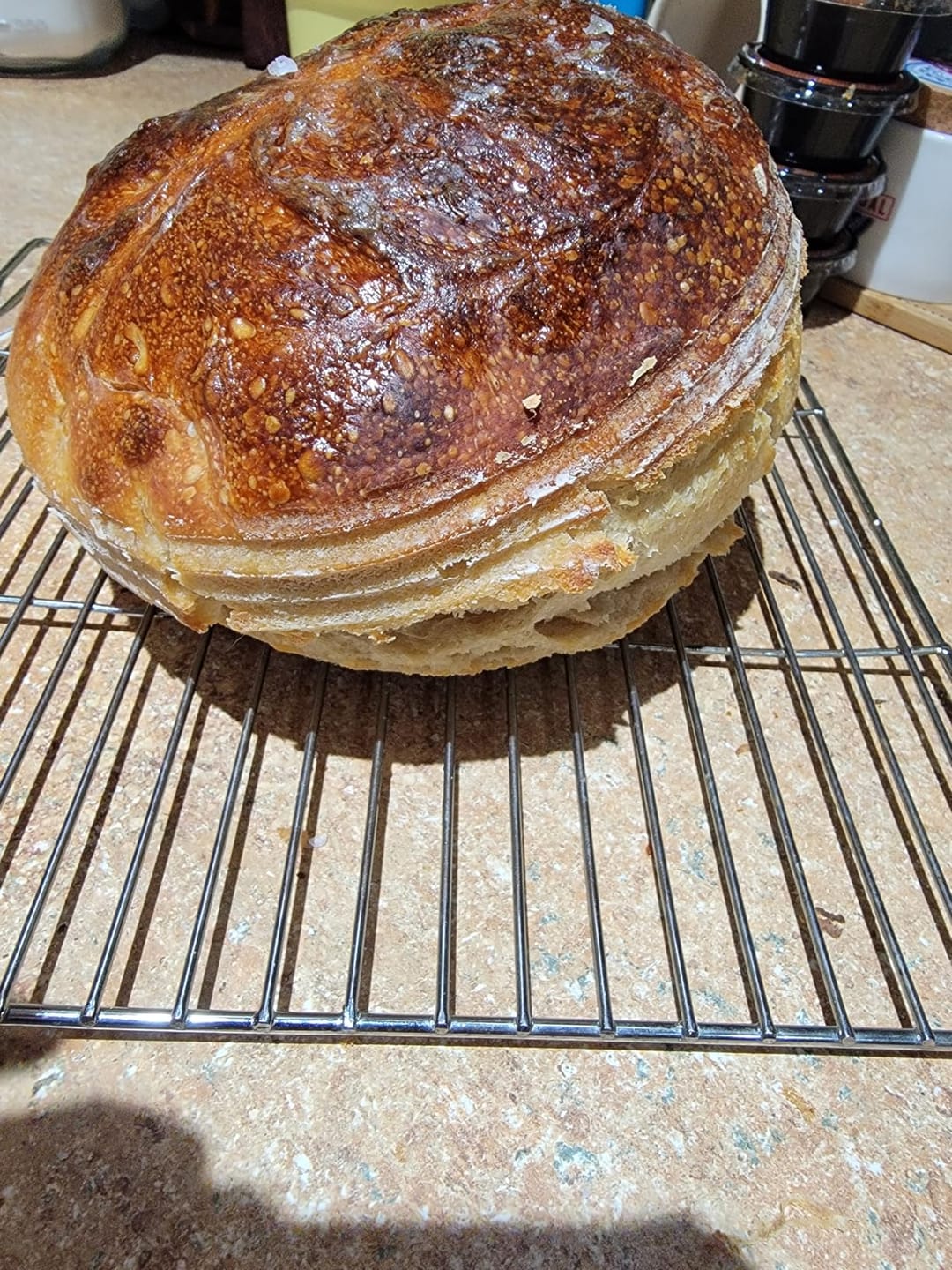 Customer photo review of Living Jin Foods: Sourdough Starter
