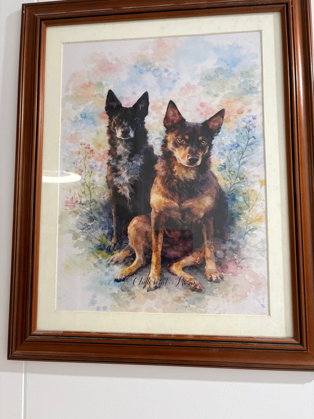 Customer photo review of Personalised Poster With Dog or Cat - Watercolour