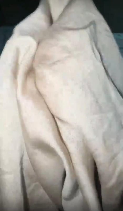 Customer photo review of Getha Sleepy Kids Latex Pillow Case - TENCEL™ Nano Silver Fabric