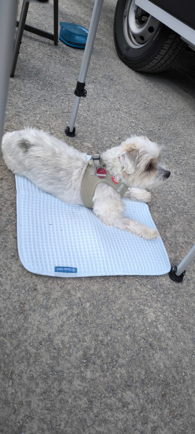 Customer photo review of Frostcore™ Cooling Mat - Waffle Blue