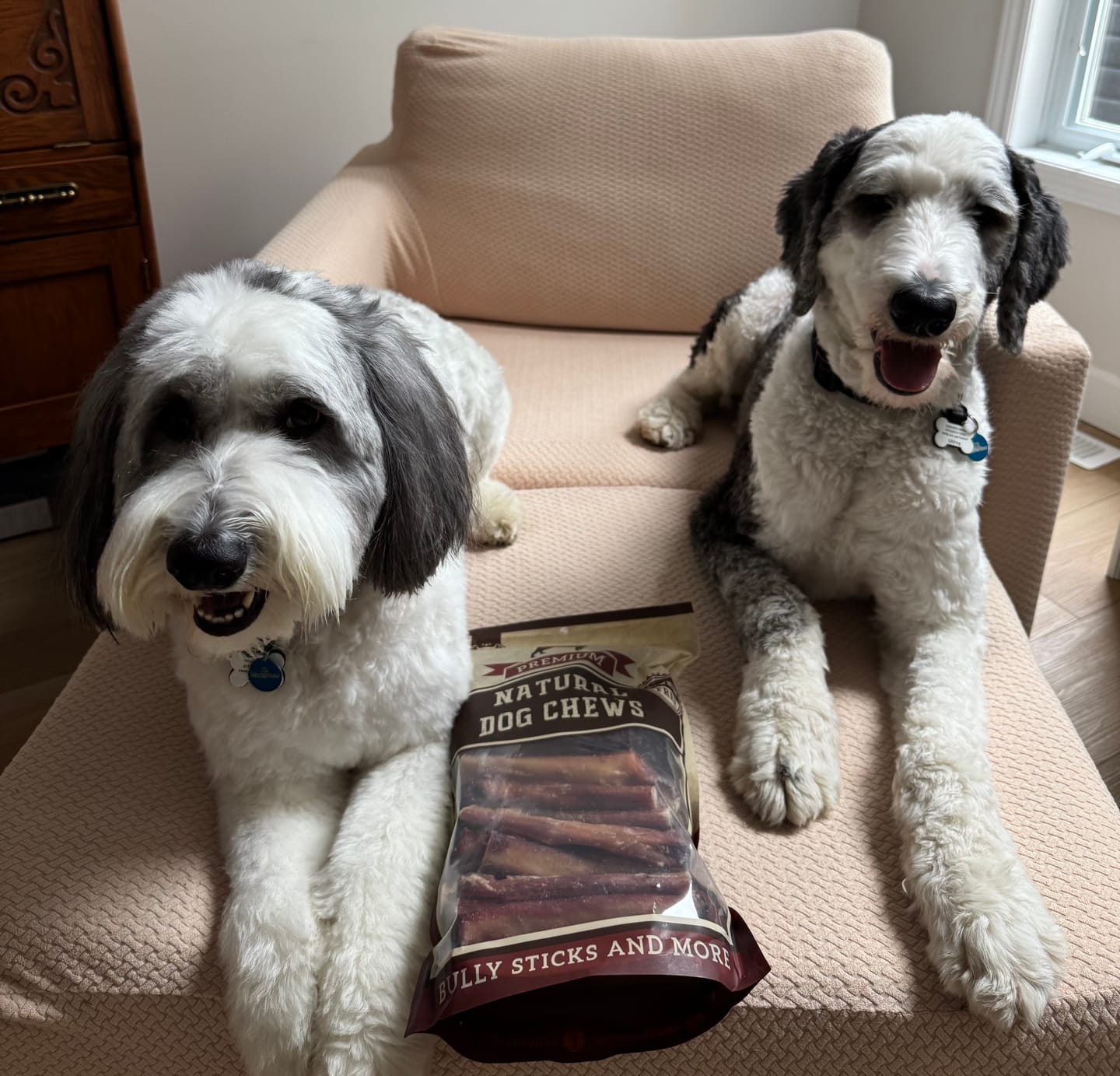 Customer photo review of 6 Inch Jumbo Bully Stick