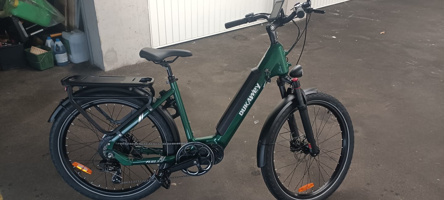 Customer photo review of E-Bike Suspension Seatpost