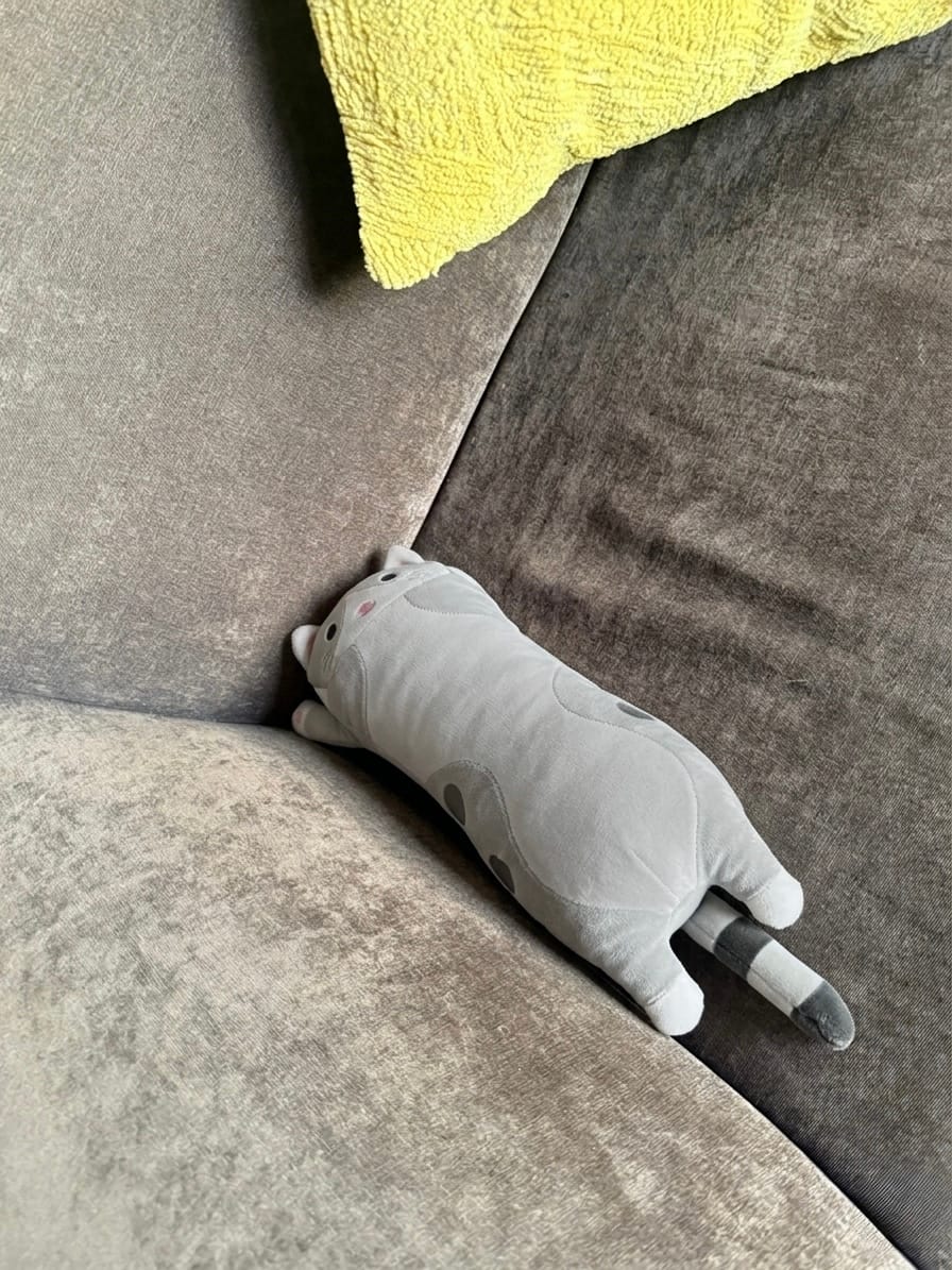 Customer photo review of Gatito Térmico