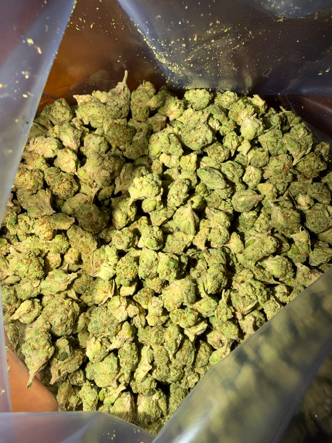 Customer photo review of Gelato Kush Minis - Bulk Minis - Indica