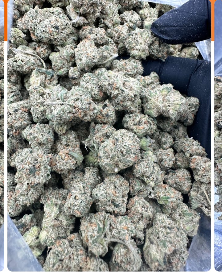 Customer photo review of Zkittlez THCA Flower (Budget)