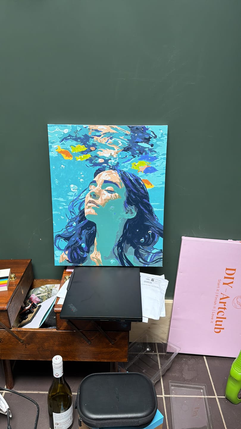 Customer photo review of A Quiet Beneath | Paint by Number