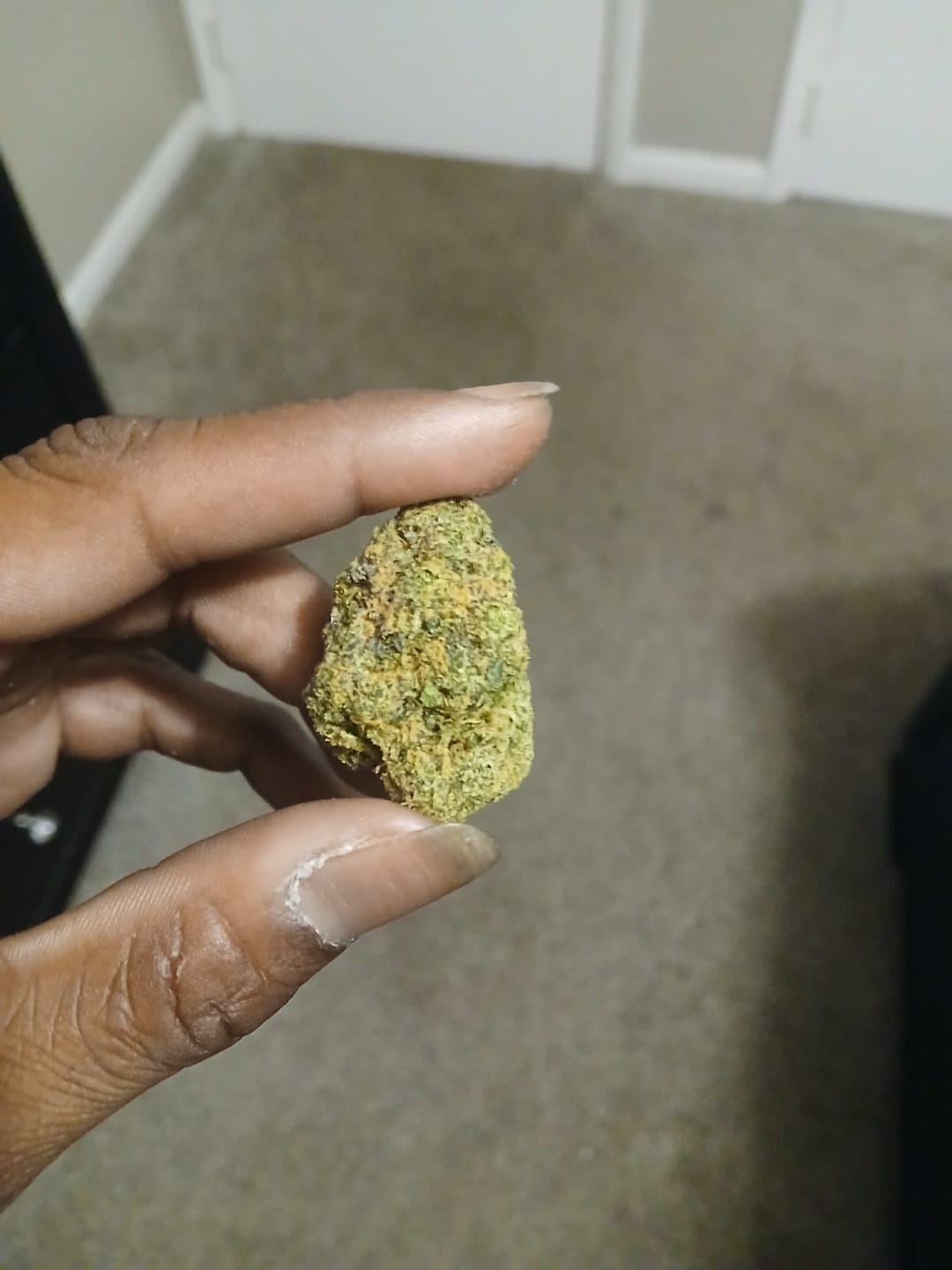Customer photo review of 10 oz Biscotti THCA Flower (Budget)