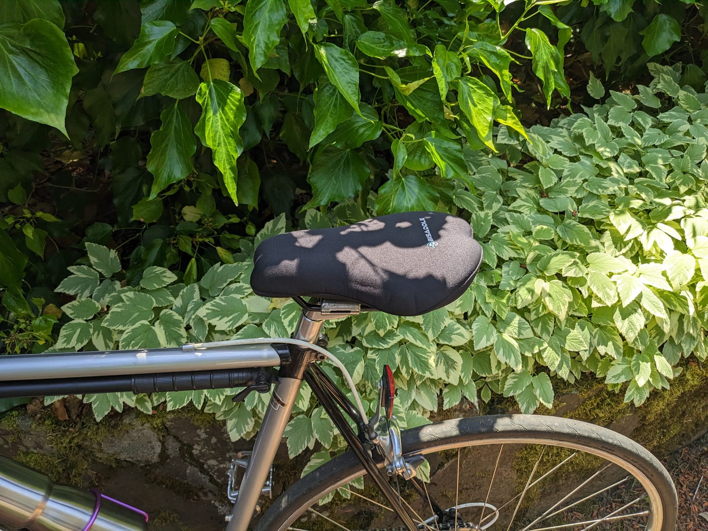 Customer photo review of Bonneville Distance